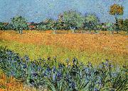 View of Arles With Iris Vincent Van Gogh